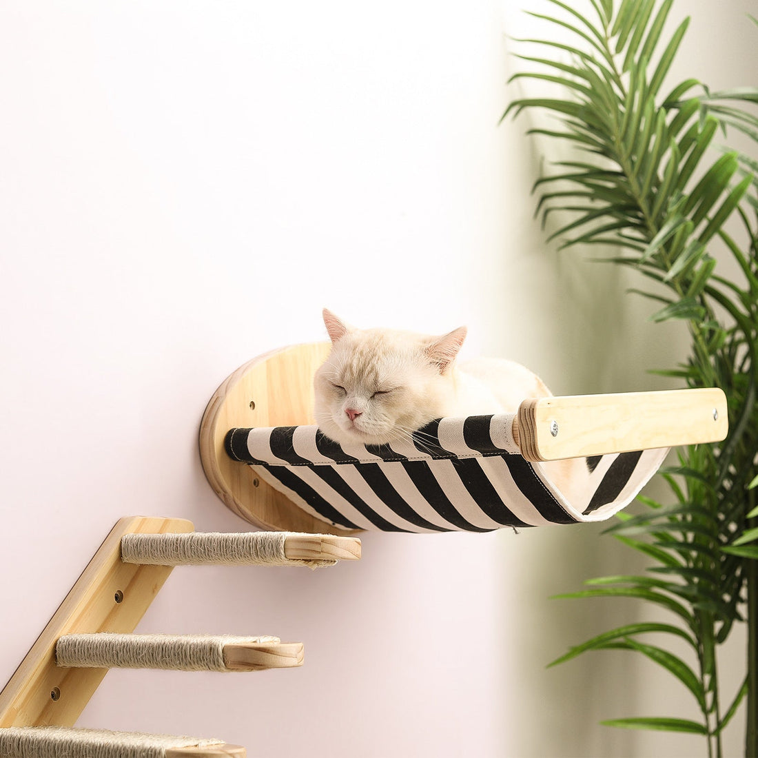 Cat Activity Center – Wall Mounted Hammock & Sisal Scratching Post for Happy Cats