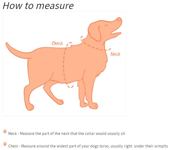 “Cute As Can Bee” Adjustable Dog Harness – Comfortable, Secure & Stylish Walks