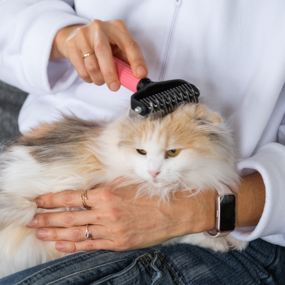 Pet-Hair-Removal PAW COVE