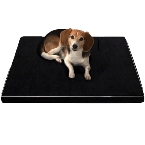 Luxorest: Premium Orthopedic Memory Foam Beds For Larger And Elderly Dogs Dog Hugs Cat
