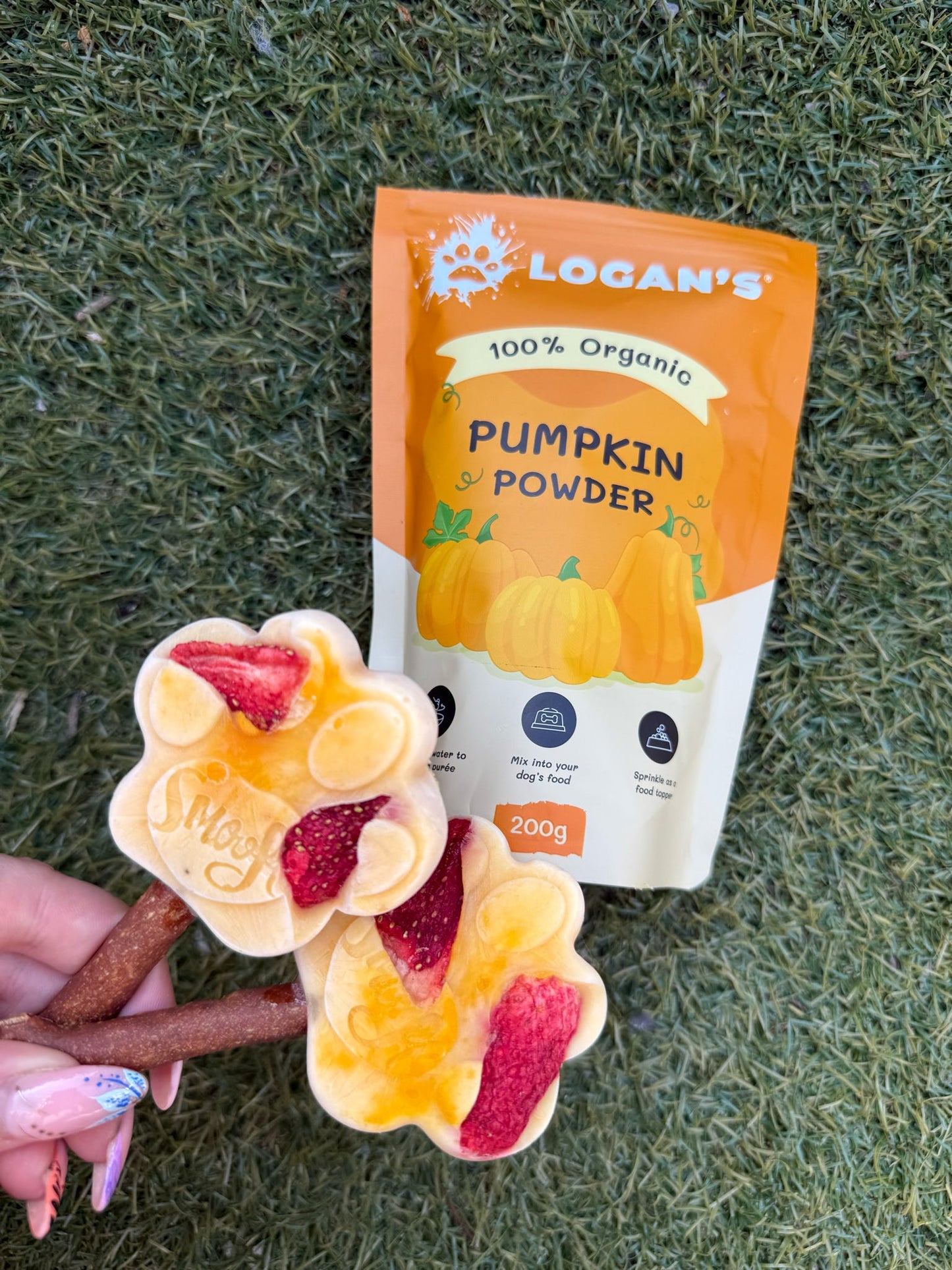 Pumpkin Powder PAW COVE