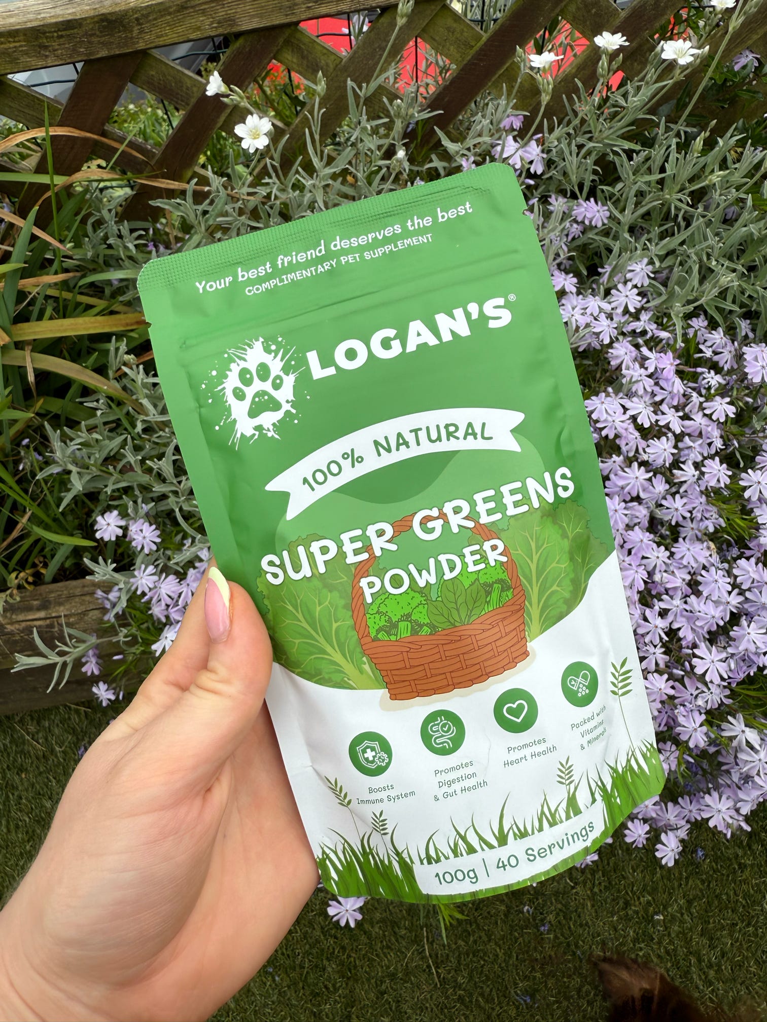 Super Greens Powder PAW COVE