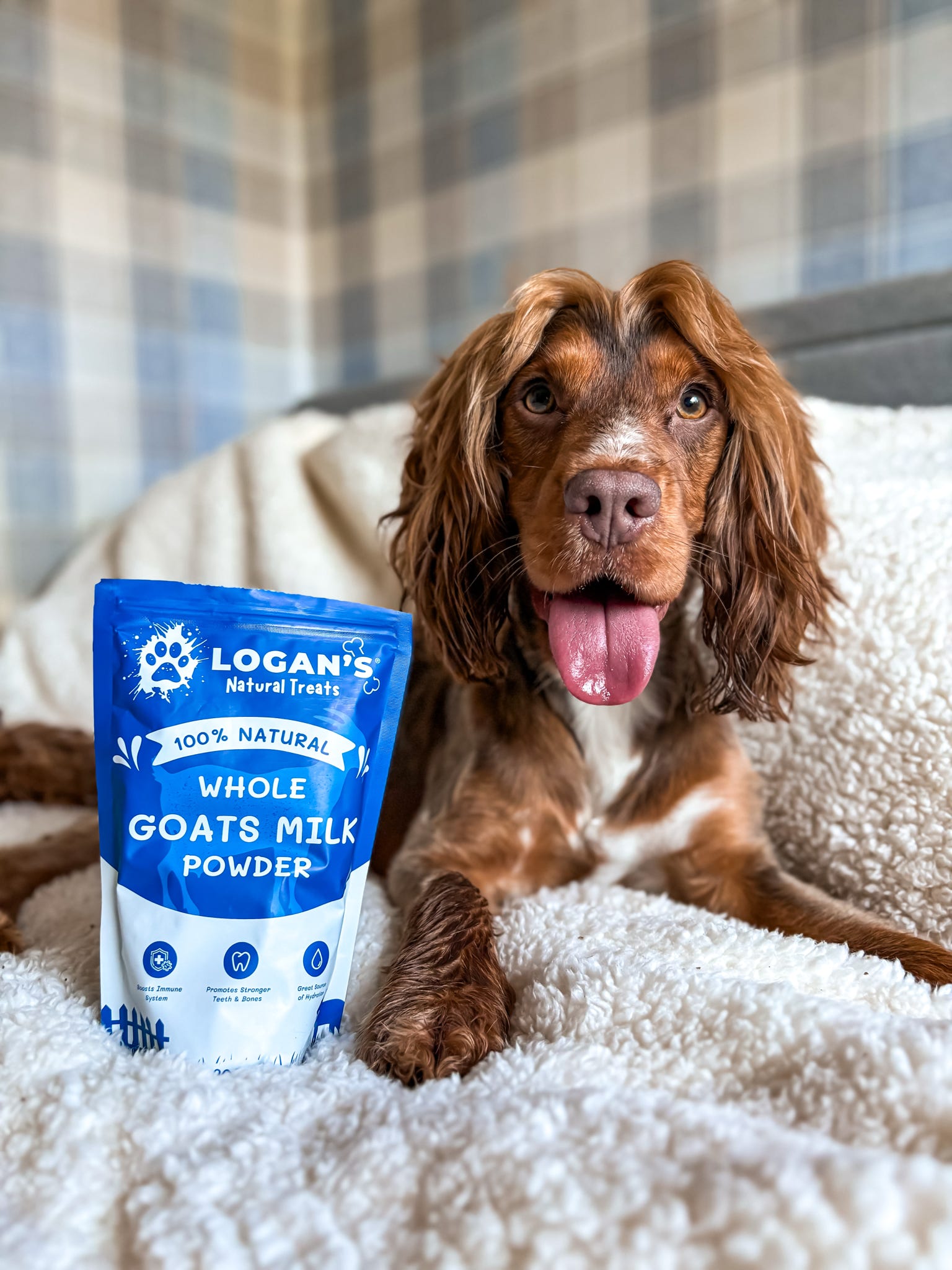 Whole Goat's Milk Powder PAW COVE